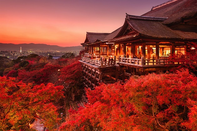 Những địa điểm ngắm mùa thu lá đỏ đẹp nhất Nhật Bản